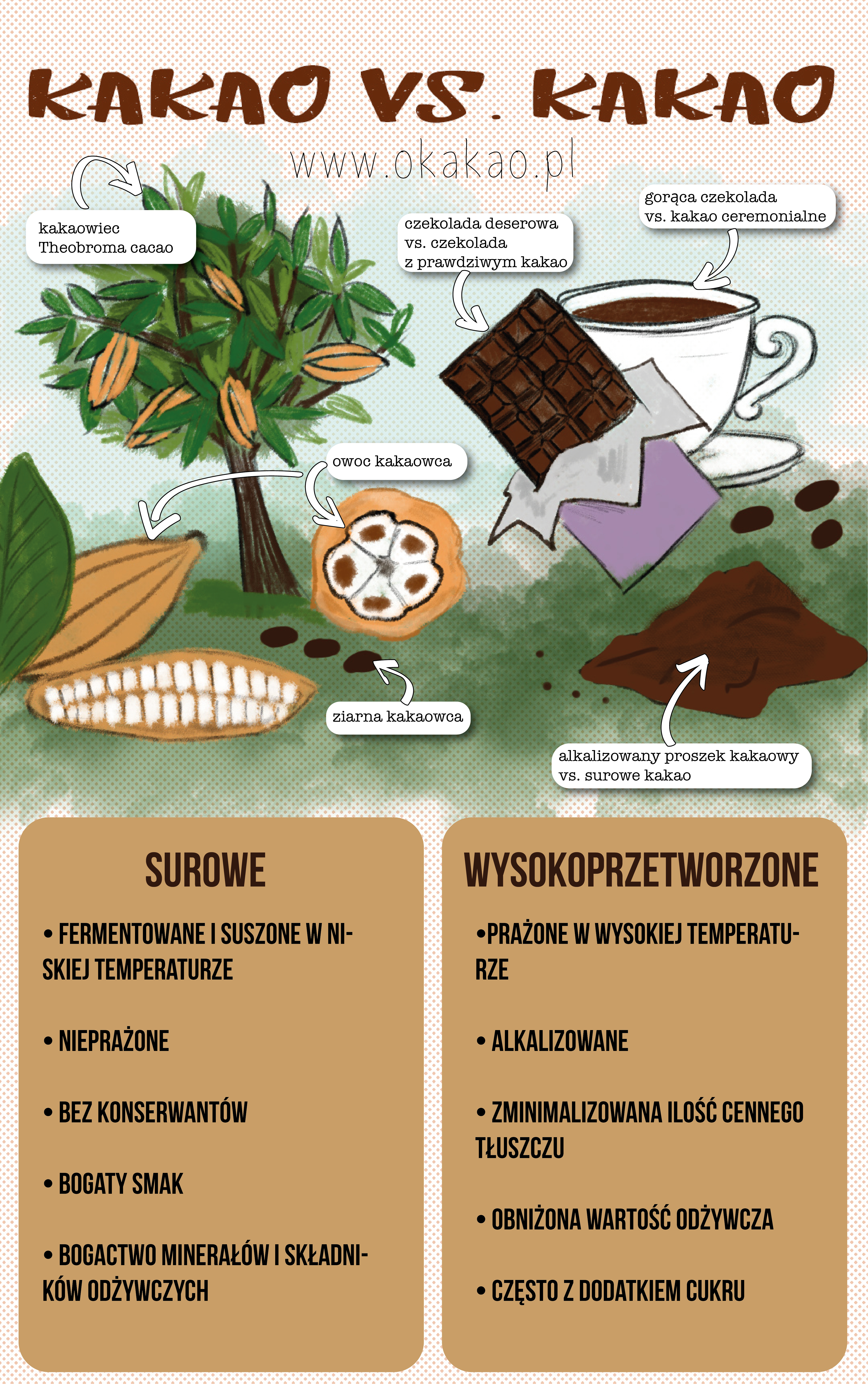 Czym różni się prawdziwe kakao od kakaowego proszku?